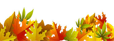 autumn leaf border bottom.jpg