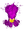 octopus.png
