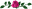 Pink rose