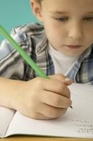 Reading boy with homework