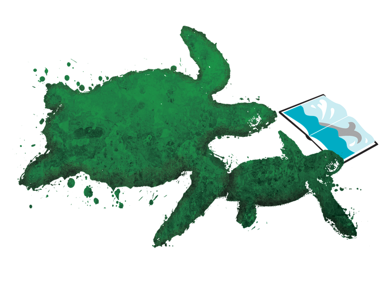 turtle.png